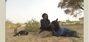 elsewhere - Ekeschi, Ayr, Niger - Januar 2000