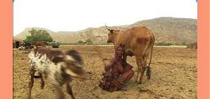 elsewhere - Ombivango, Kaokoland, Namibia - März 2000