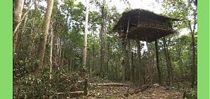 elsewhere - Dambol Territory, Irian Jaya, Indonesien - April 2000