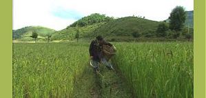 elsewhere - Zhong Shi, Yunnan Provinz, China - September 2000