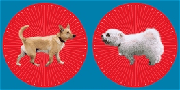 kurzedinger Kurzfilmfestival 2oo2